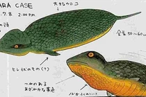 Sinh vật huyền bí Tsuchinoko khiến người Nhật điên đảo