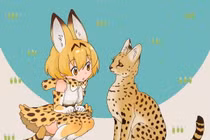 Loài mèo kỳ lạ có chân dài miên man như người mẫu