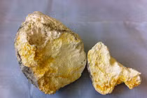 Long diên hương ăn với trứng rán cực ngon?