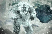 Chấn động: Người rừng Yeti trên dãy Himalaya hóa ra là gấu Bắc Cực?