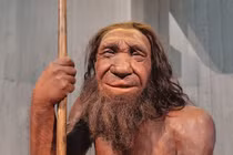 Nếu người Neanderthal tồn tại đến ngày nay, chuyện kỳ lạ gì sẽ xảy ra? 