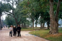 Ảnh cực quý Hồ Gươm và Văn Miếu Quốc Tử Giám năm 1991