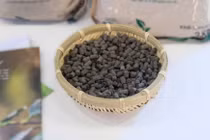 Greenma được quan tâm tại Lễ hội Cà phê Buôn Ma Thuột 2025