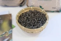 Greenma được quan tâm tại Lễ hội Cà phê Buôn Ma Thuột 2025