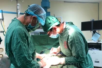 Tay nhiễm khuẩn sưng phù vì tiêm khớp giảm đau