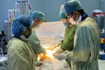 Vụ cây xanh bật gốc: Người phụ nữ mang thai bị rách thận, vỡ gan