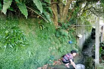 Đang giặt quần áo bên sông, người phụ nữ sốc nặng khi phát hiện rắn "khủng"