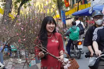 Tấp nập chợ hoa Hàng Lược