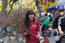 Tấp nập chợ hoa Hàng Lược