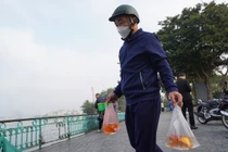 Hà Nội: Người dân đi thả cá, vui như ngày hội