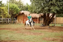 Một ngày tại Câu lạc bộ Ngựa Hà Nội 