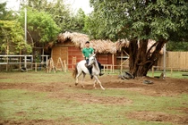 Một ngày tại Câu lạc bộ Ngựa Hà Nội 