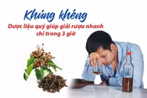 Khúng khéng – Dược liệu quý giúp giải rượu nhanh chỉ trong 3 giờ