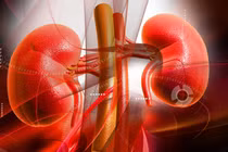 6 biến chứng suy thận mạn và cách kiểm soát nhờ thảo dược