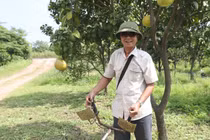 Lão nông tuổi lục tuần và bí quyết hết tiểu đêm, bền phong độ