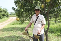 Lão nông tuổi lục tuần và bí quyết hết tiểu đêm, bền phong độ