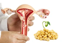 Bị u có dùng được mầm đậu nành không?