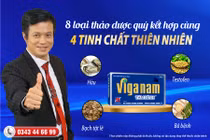 Viganam Tâm Bình - Hỗ trợ tăng Testosterone nội sinh, tăng cường sinh lý