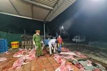 Lời khai nữ chủ cơ sở giết mổ hơn 1 tấn lợn chết ở Bắc Giang