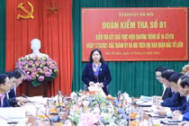 Công khai, minh bạch trong thực hiện phòng, chống tham nhũng