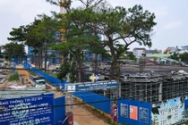 Công ty CP Chè Lâm Đồng bị phạt 320 triệu đồng