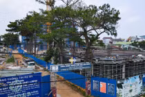 Công ty CP Chè Lâm Đồng bị phạt 320 triệu đồng