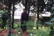 Phát hiện nam thanh niên tử vong trong tư thế treo cổ dưới gốc cây