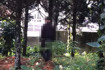 Phát hiện nam thanh niên tử vong trong tư thế treo cổ dưới gốc cây