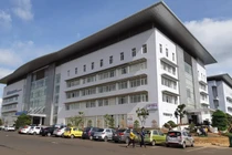 Đắk Lắk: Thêm một trường hợp mắc bệnh viêm não Nhật Bản