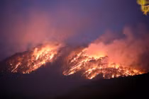 Lâm Đồng: Rừng phòng hộ đèo Prenn Đà Lạt cháy lớn