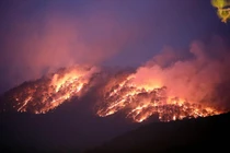 Lâm Đồng: Rừng phòng hộ đèo Prenn Đà Lạt cháy lớn