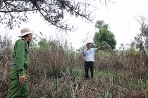 Lâm Đồng: Khởi tố Nguyên Trưởng phòng Tài nguyên và Môi trường huyện Bảo Lâm