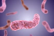 Đắk Lắk: Bé gái tử vong vì bệnh Whitemore