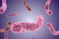 Đắk Lắk: Bé gái tử vong vì bệnh Whitemore