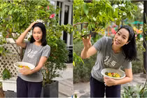 Vườn cây trĩu quả trong biệt thự 200 m2 của NSƯT Trịnh Kim Chi