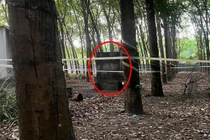 Vụ nữ chủ quán karaoke tử vong trong nhà hoang: Hé lộ nguyên nhân