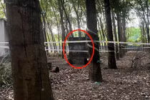 Vụ nữ chủ quán karaoke tử vong trong nhà hoang: Hé lộ nguyên nhân