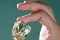 Đang cuốc đất làm đồng, bất ngờ đụng trúng bảo vật nghìn tỷ