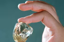 Đang cuốc đất làm đồng, bất ngờ đụng trúng bảo vật nghìn tỷ