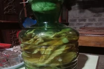 Lào Cai: Uống rượu ngâm củ cây thương lục, 3 người phải đi cấp cứu