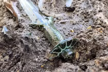 Kỳ lạ thanh kiếm bí ẩn từ mộ cổ 3.000 năm vẫn sáng loáng