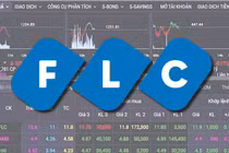Bao giờ xét xử vụ án FLC?