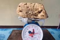 Đi dạo trên bãi biển, bất ngờ đụng trúng “báu vật” tiền tỷ 