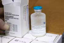 WHO tìm nguồn thuốc hiếm điều trị ngộ độc botulinum hỗ trợ Việt Nam
