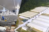 Công ty Dabaco Thanh Hóa bị phạt do vi phạm về môi trường