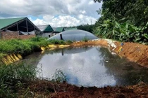 Công ty CP Phát triển năng lượng Kon Tum xả thải trái phép