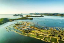 Về Phú Yên, xao xuyến đầm Ô Loan mộng mơ trữ tình