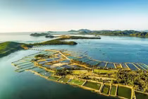 Về Phú Yên, xao xuyến đầm Ô Loan mộng mơ trữ tình