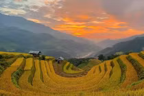  Về Mù Cang Chải "hít hà" hương lúa, ngắm mùa vàng