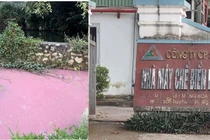 Xả thải ra môi trường, Công ty Sơn Thủy bị phạt 320 triệu đồng